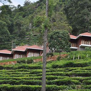 Hanging Huts Resorts
